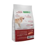 Die Grup Somonlu Yetişkin Köpek Maması 12 Kg, Sağlıklı Beslenme Için