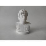 Diego Armando Maradona Bust Futbol Futbol İs Love 10 Cm
