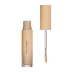 Diego Dalla Palma Mu Concealer It's A Filter 132 N