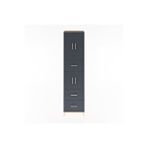 Dienni Mobilya Hyperion Dolap 3 Raflı 3 Çekmeceli 4 Kapaklı 60x44x243 Antrasit-çam