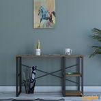 Dienni Mobilya Richmond Bozkır 120'lik Metal Kitaplıklı, Bölmeli Masa, Çalışma Masası 120x70x60 Cm Ceviz