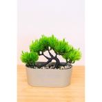 Digithome Dekoratif Kayık Saksılı Yapay Çam Ağacı Bonsai Gri 16cm EVA-5829 C1-1-423