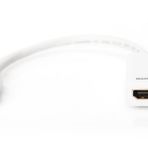 Digitus Mini Displayport To Hdmı Disi Cevirici