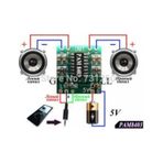 Dijital 2X3W Rms Pam 8403 3Watt 5V Stereo Anfi Devresi Amfi Kartı