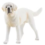 DIKACA aziz bernard oyuncak ev dekorasyonu ev dekoru gerçekçi köpek heykeli sevimli köpek oyuncak çocuklar için yavru köpek oyuncakları süs çocuklar için köpek modelleri köpek modeli