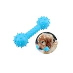 Dikenli Dumbell Diş Kaşıyıcı Köpek Oyuncağı 5x14 Cm Mavi