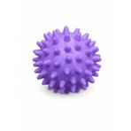 Dikenli Masaj Topu, Refleksoloji ve Kas Gevşetme için, El, Ayak, Sırt, Boyun Masajı, Fizik Tedavi ve Pilates Destekleyici (mor)