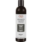 Dikson Argabeta Derinlemesine Arındırıcı Detoks Tüm Saçlar 250 ml Şampuan