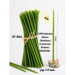 Dilek Tören Ritüel Balmumu Mum 50 Adet Slim Ince 20 cm Boy 4-6 mm Çap - Seçenek 1