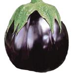 Dilimli Topan Patlıcan Tohumu (10 Gram)