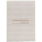 Dilman 4018 2/50 3 Nüsha Serbest Meslek Makbuzu