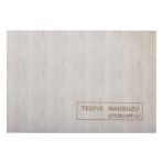 Dılman Tedıye Makbuzu 2 Nusha 14x20