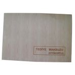 DİLMAN TEDİYE MAKBUZU 2/50 3 N OTOKOPİLİ