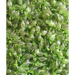 Dilşeker 250 gr Naneli ve Mentollü Şeker