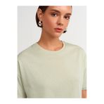 Dilvin Renk Bisiklet Yaka Basic T-shirt, 38, 101A03683, Mint, Kadın