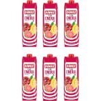 Dimes 7/24 Karışık Meyveli Içecek 1 lt x 6 Adet