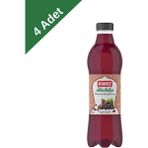 Dimes Hasbahçe Pet Şişe Osmanlı Şırası (1 L) x 4 Adet - 100 ml