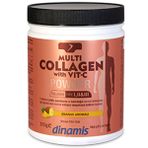 Dinamis Multi Collagen with Vit-C 315 gr Toz