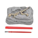 Dinozor Kazı Kiti, Eğitici Dinozor Oyuncakları, İskelet Modeli Bilim Seti Eğitici Faaliyetleri Duyusal El İşi Oyuncağı ve Doğum Günü Hediyesi
