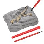Dinozor Kazı Seti,Paleontoloji Seti Çocuklar İçin | İskelet Modeli Bilim Seti Eğitici Faaliyetleri Duyusal El İşi Oyuncağı ve Doğum Günü Hediyesi