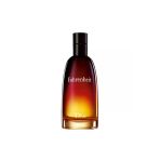 Dior Dior Fahrenheit 100 Ml Edt