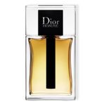 Dior Homme EDP 100 ml Erkek Parfüm