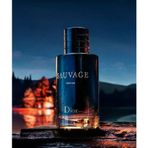 Dior Sauvage Parfum Spray Edp 100Ml Men's Perfume