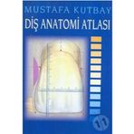 DİŞ ANATOMİSİ ATLASI -YAZARIN KENDİSİ