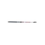 Discovery Dft Dynamic 300 cm 100-150 gr Olta Kamışı