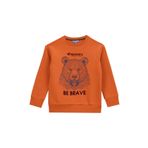 Discovery Expedition Baskılı Erkek Çocuk Kiremit Sweatshırt D5WB-SWT3041