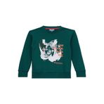 Discovery Expedition Baskılı Erkek Çocuk Koyu Yeşil Sweatshirt, 7-8 Yaş, 5003271500, Koyu Yeşil, erkek-çocuk