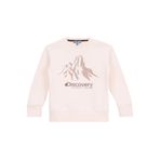 Discovery Expedition Baskılı Erkek Çocuk Sweatshirt, 9-10 Yaş, 5003282911, Krem, erkek-çocuk