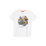 Discovery Expedition Baskılı Kırık Beyaz Erkek Çocuk T-Shirt, 7-8 Yaş, 5003326919, Kırık Beyaz, Erkek Çocuk