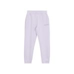 Discovery Expedition D3WL-EA3 Gri Regular Fit Düz Kadın Eşofman Altı - XL