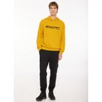 Discovery Expedition D3WM-SWT28 Hardal Kapüşonlu Nakışlı Erkek Sweatshirt