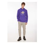 Discovery Expedition D3WM-SWT41 Mor Erkek Kapüşonlu Baskılı Sweatshirt