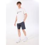 Discovery Expedition D5SM-SHT3760 Antrasit Relaxed Fit Erkek Şort