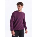 Discovery Expedition D5WM-SWT3940 Bisiklet Yaka Relaxed Düz Sweatshırt, 2XL, 5003264239, Mürdüm, erkek