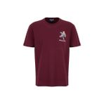 Discovery Expedition D6SM-TST3680 Bordo Bisiklet Yaka Relaxed Düz Erkek T-Shirt