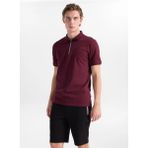 Discovery Expedition D6SM-TST3719 Bordo Erkek Polo T-Shirt