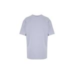 Discovery Expedition D6Sm-Tst3788 Bisiklet Yaka Relaxed Baskılı T-Shirt, L, 5003329861, Gri, Erkek