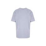 Discovery Expedition D6SM-TST3788 Gri Bisiklet Relaxed Baskılı Erkek T-Shirt