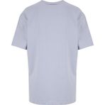 Discovery Expedition D6SM-TST3788 Gri Bisiklet Yaka Relaxed Baskılı Erkek T-Shirt - XL