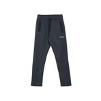 Discovery Expedition Erkek Spor Eşofman Altı 5003098956, Antrasit, L