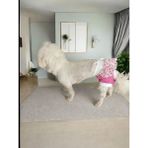 Dişi Köpek Regl Külodu – Ayarlanabilir, Yıkanabilir, Hijyenik Köpek Külodu - Pembe - S