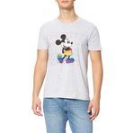 Disney Erkek tişörtü Gri kırçıllı. S