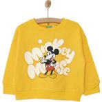 Disney Mickey Mouse Erkek Sweatshirt Erkek Bebek
