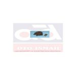 Distribütör Kap. Tevzi Makarası Kit R21 Concorde 2.0 91-97 - Espace 2.0 91-97 Orj.ürün