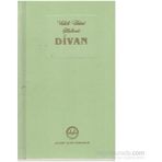 DIVAN-I İLAHİYAT ELMALILI VAHIB ÜMMİ HALVETI - AHMET ÖGKE;MUSTAFA TATCI