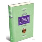 DIVAN MEVLÂNÂ HALID-I BAGDÂDÎ (CILTLI) - MEVLANA HALID-I BAĞDADI